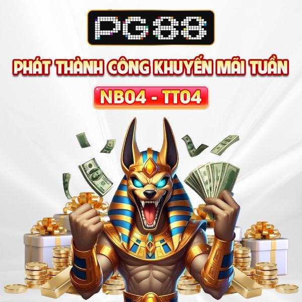 Khám phá thế giới co tưởng với trải nghiệm độc đáo và hấp dẫn