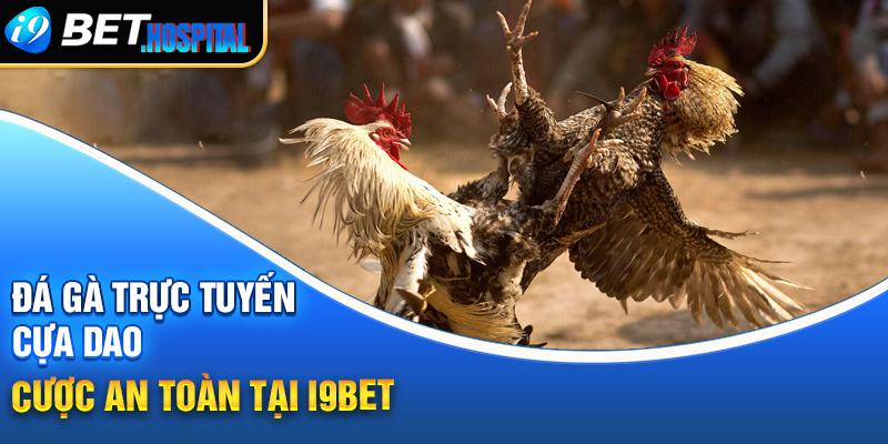 Soi cau lo hom nay dự đoán kết quả xổ số miền Bắc cực chuẩn